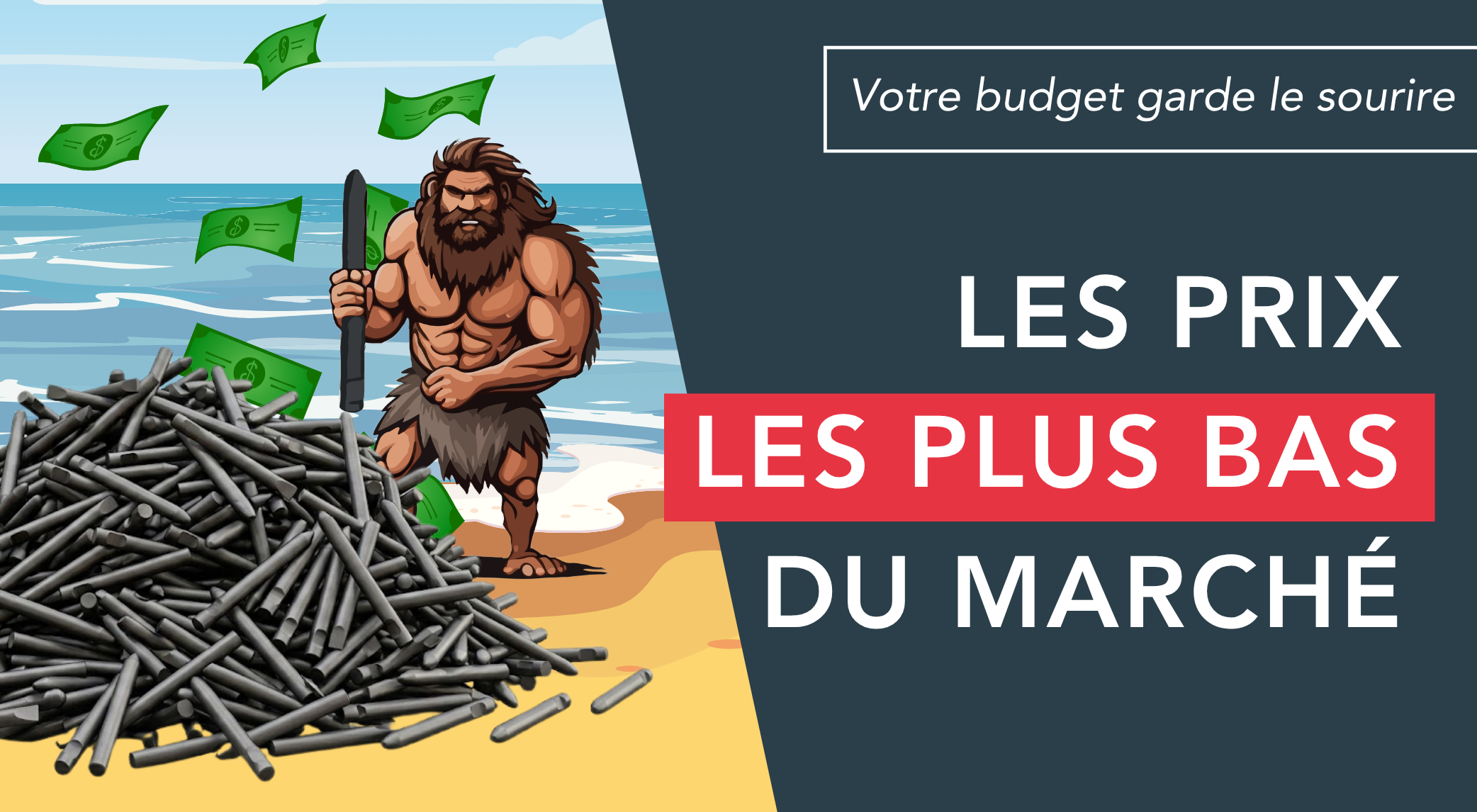 Affiche publicitaire avec le texte "Les prix les plus bas du march&eacute;" mascotte monpic.fr avec montagne de pics et billets sur la plage texte en haut "Votre budget garde le sourire"